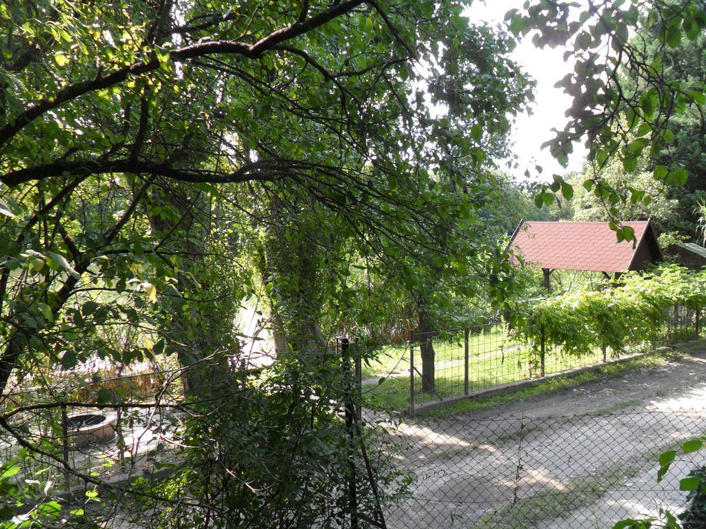 Ikerdio Fahaziko Villa Szarvas Ngoại thất bức ảnh
